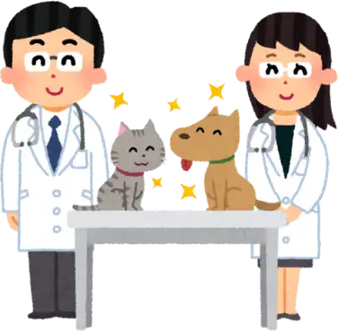 Evde Veteriner Hizmeti